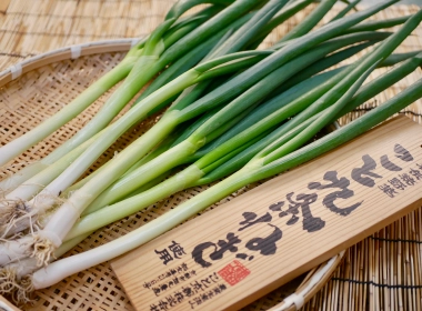 京都伝統野菜「こと九条ねぎ」