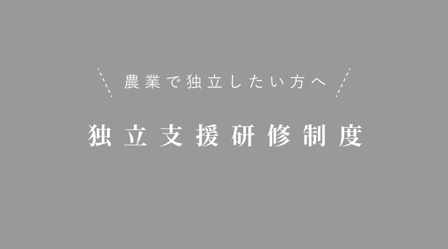 独立支援研修制度