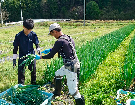 インターンシップ収穫体験