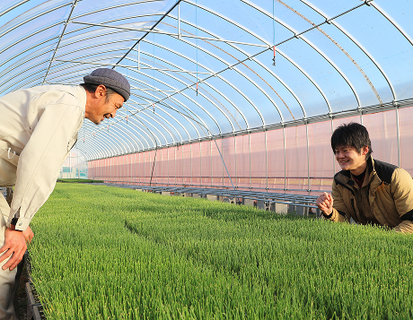 静岡県の藤枝工場でのインターンシップイメージ画像