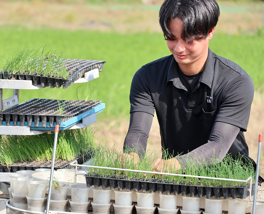 移植機を使い定植