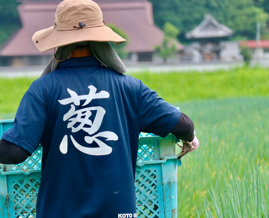 収穫の様子1