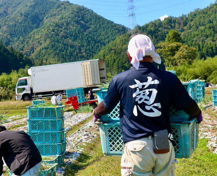 農業生産部門の様子1